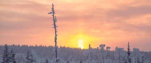 PTI Panoramica Flugreisen Finnisch Lappland Kuusamo Reisebüro Last Minute
